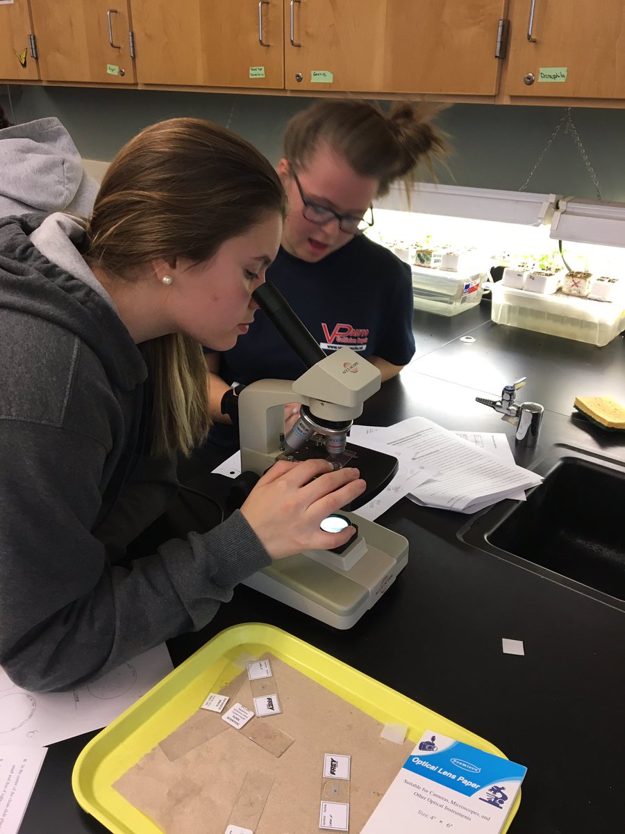 MrCarracappa's tweet photo. Wonderful lesson utilizing the MICROSCOPE to see which predator has a higher rate of consumption of paramecium. #UMbio #UMlearns https://t.co/IB32MPAbWA
