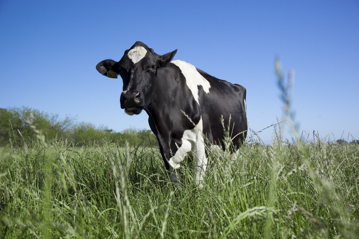 Importantes avances para los productores tamberos santafesinos.
Se comienza a institucionalizar el mercado. 
Link:
cra.org.ar/nota/19965-imp…