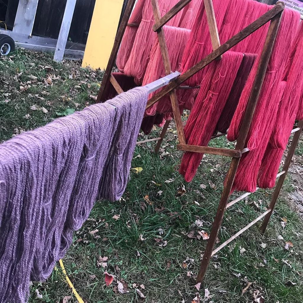 burgisbrook's tweet photo. Gettin my dye on.
#burgisbrook #farmlife
.
.
#slowyarn #rhinebeck #plantbased #madder
#logwood #botanicallydyed
#β¦ https://t.co/P86QbPtVTO https://t.co/Kvb3XQHHFs
