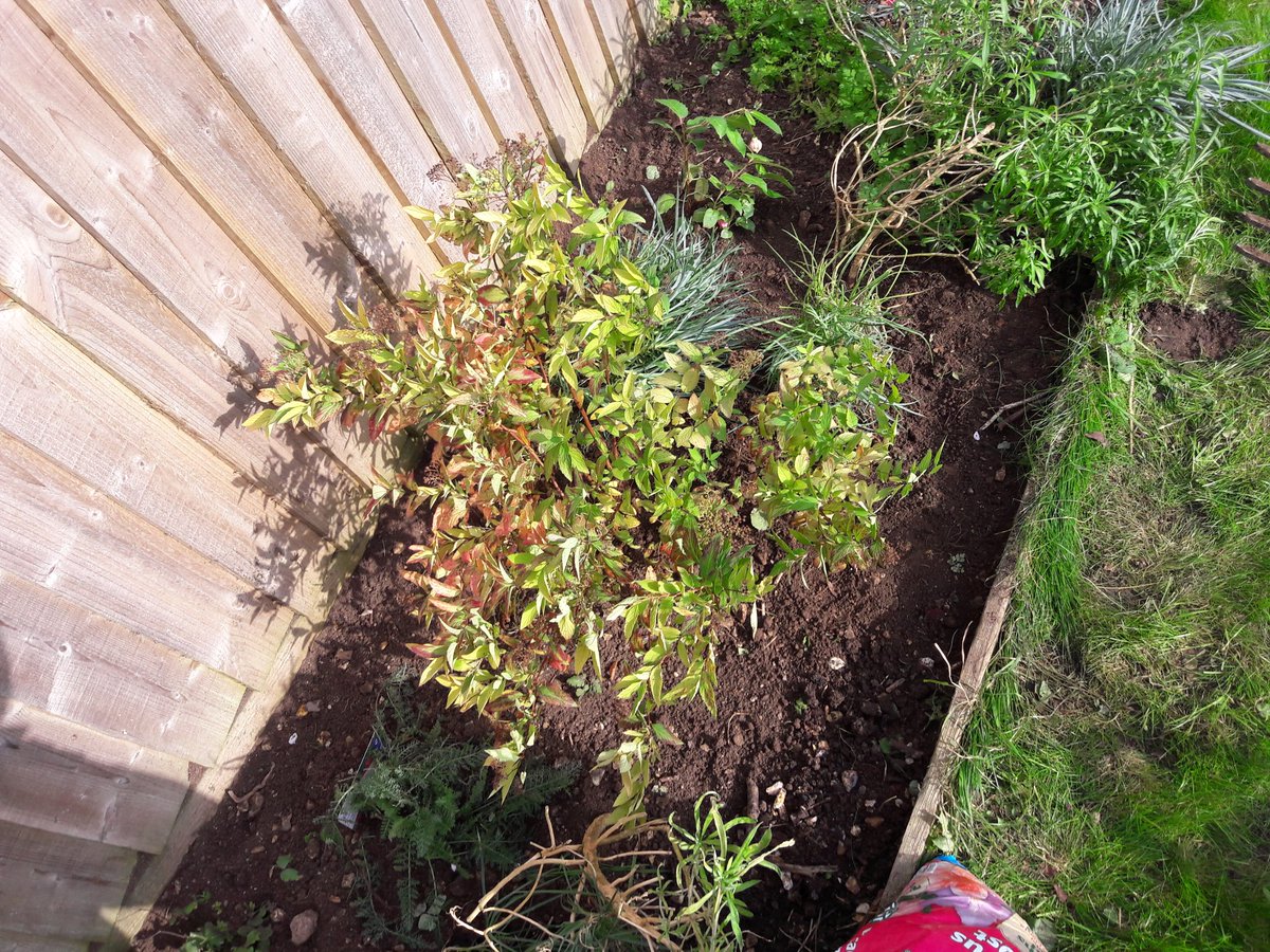 Bex H Gradualgardener Twitter