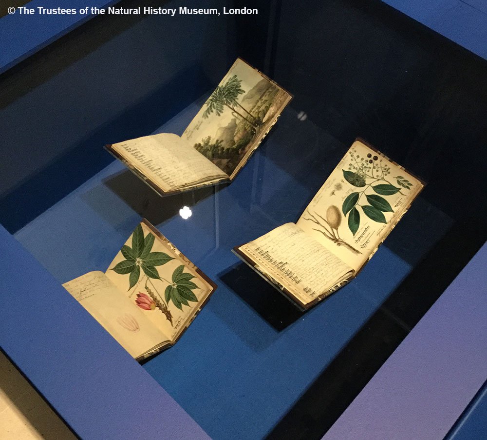 NHM_Library tweet picture