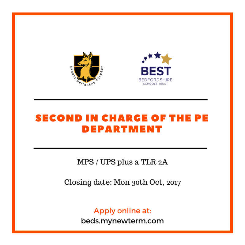 MyNewTerm tweet media