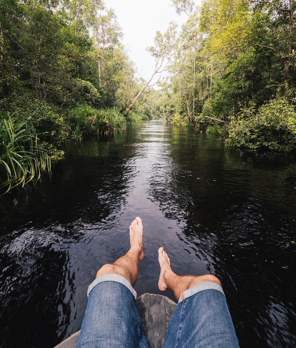 At Sekonyer River, <a href="/ovunno/">Oliver Vegas</a> says there is something magical about seeing wildlife in their natural habitat.
#WonderfulIndonesia