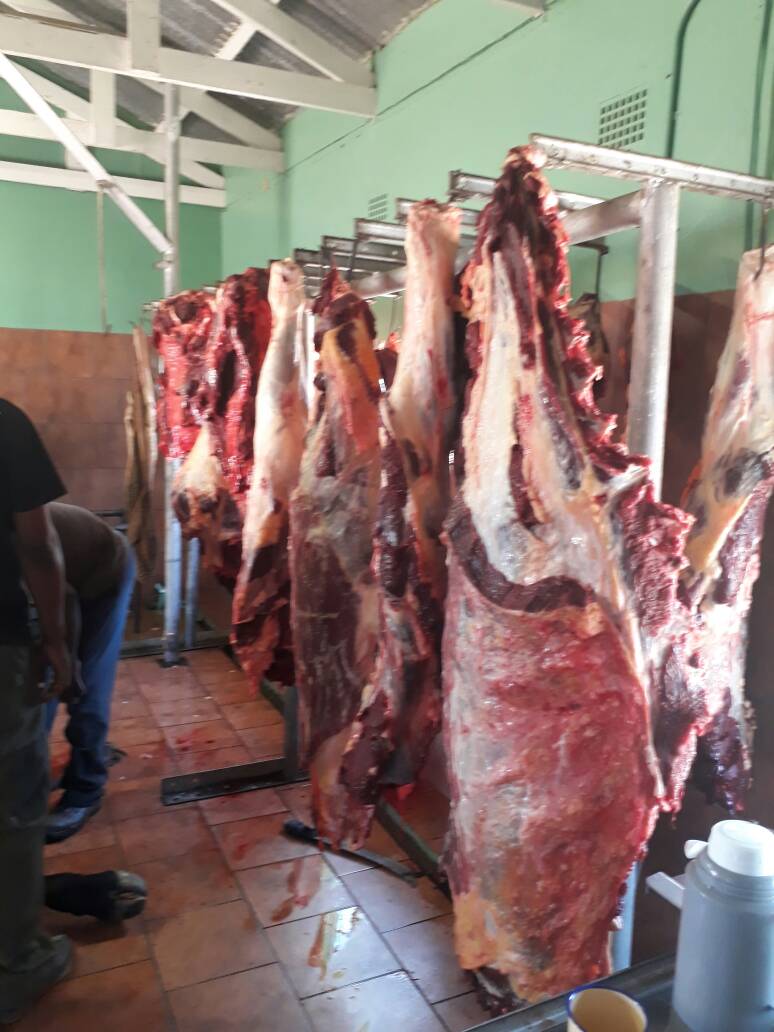 RCHardap's tweet photo. World food day preparations in process. The day will be celebrated in Stampriet, Hardap Region on Thursday, 19 October 2017. https://t.co/mjubqUL7vd