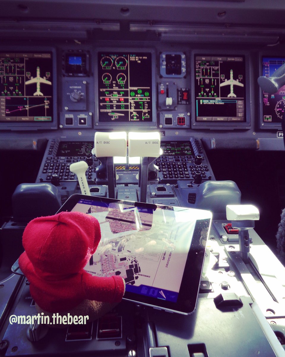pilotbearmartin's tweet photo. Work work work! 😁❤️ #klm #pilot #flying #travel #traveling #flightdeck #love #stuffedanimal #cute https://t.co/aeXqSrVupg