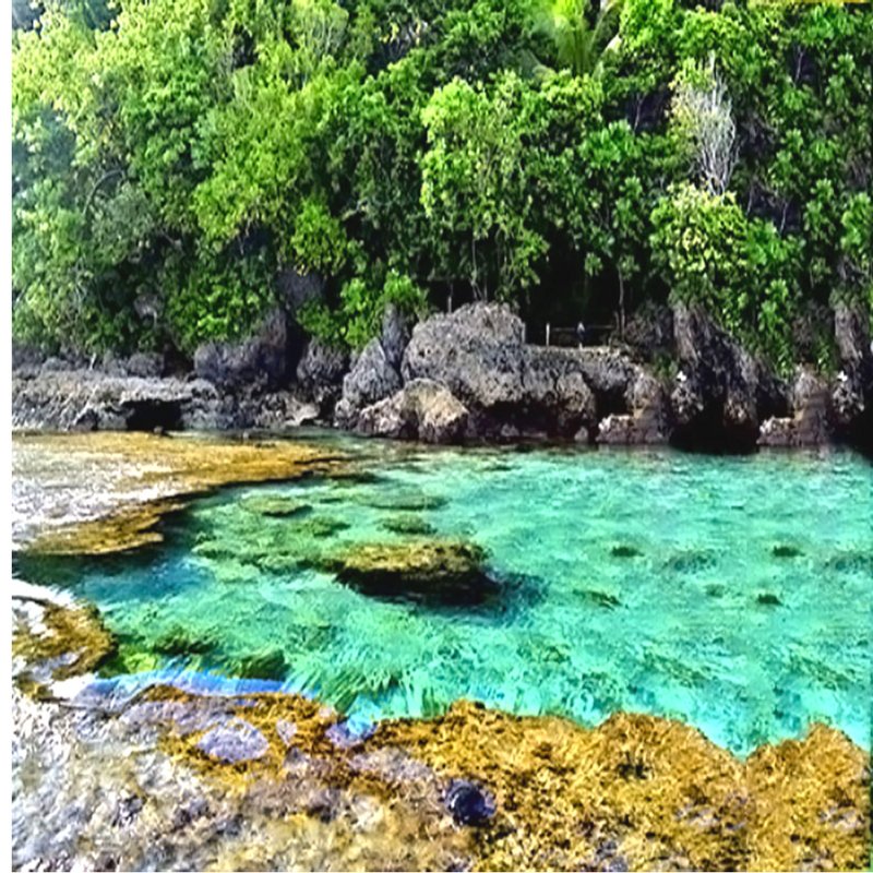 xiantraveltours's tweet photo. Come and Enjoy Siargao through our Package Tour in Xian Travel and Tours! https://t.co/9vWX0kdMaH