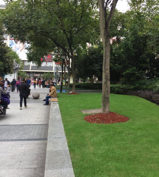 BrettYoungSeeds's tweet photo. We do business all over the world! Spotted this week: BrettYoung's over seeded Perennial Ryegrass in Shanghai central business district. https://t.co/nUUPZ6ZFfh