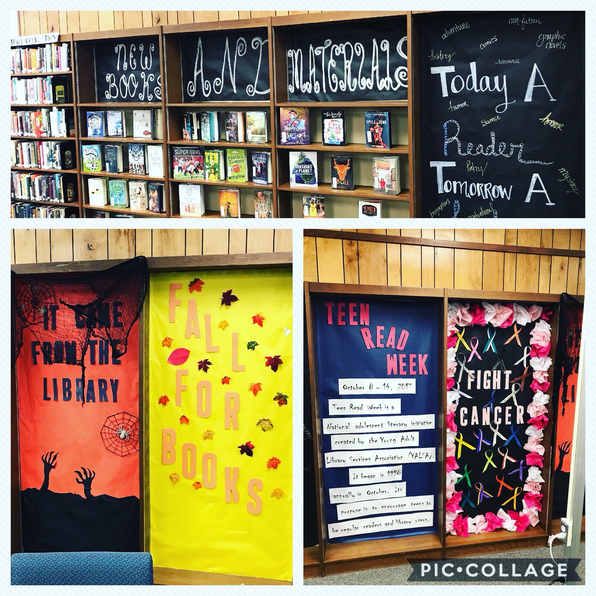 LibraryJchs's tweet photo. 💙💙 https://t.co/R1EWXm5z4L