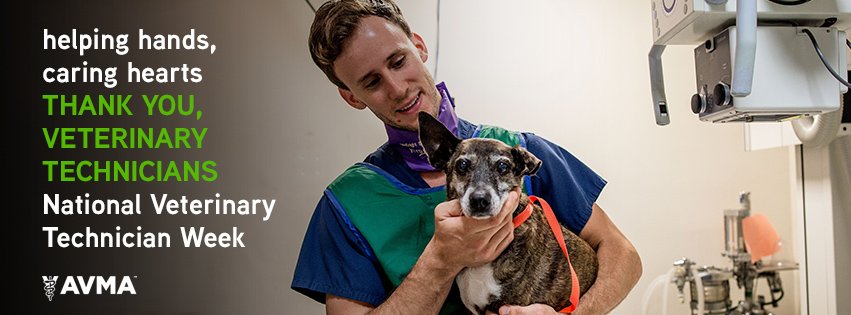 AVMAvets's tweet photo. We're celebrating #VetTechWeek. Tell us why you most appreciate veterinary technicians! https://t.co/7Z6nN6lwx6