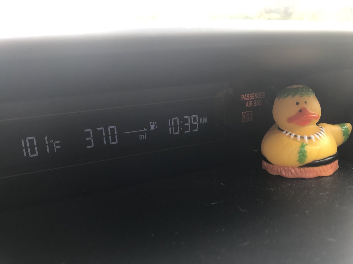 Im_Sam_Stalk_Me's tweet image. Get your shit together, Florida #iwantfallweather