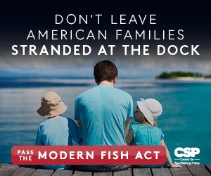 CCANational's tweet image. Tell Congress: Pass the #ModernFish Act for better recreational fishing management. Send letter now goo.gl/ZAxNzH #LetAmericaFish