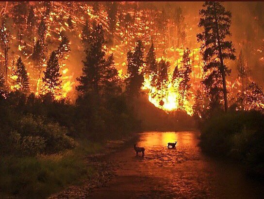 Anita Polo tweet media