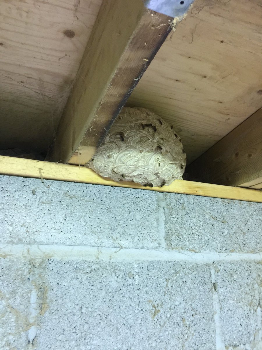 John Bennett tweet media