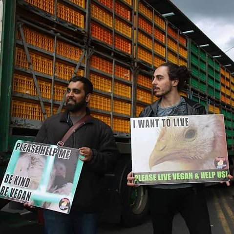 BoltonChickSave's tweet photo. Change starts with you. 

Make a difference for animals.

Join @thesavemovement  ❤️ https://t.co/z0YQM1l1Ws