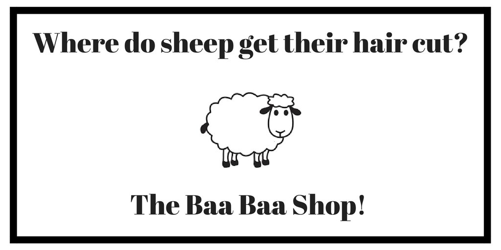 Where Do Sheep Get Their Haircut what hairstyle should i get