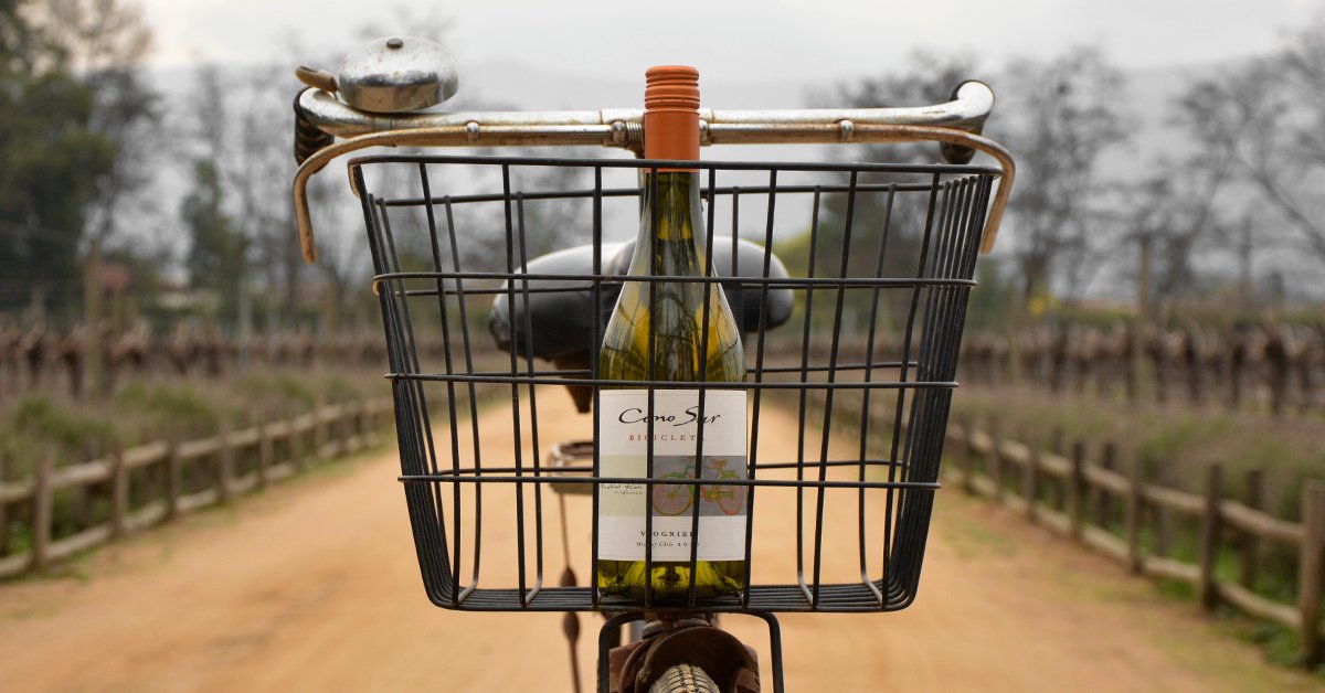 Cono Sur Wines tweet media