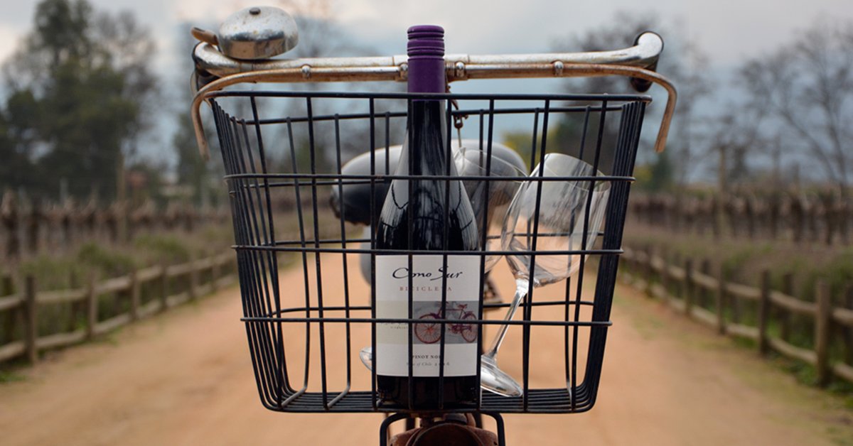 Cono Sur Wines tweet media