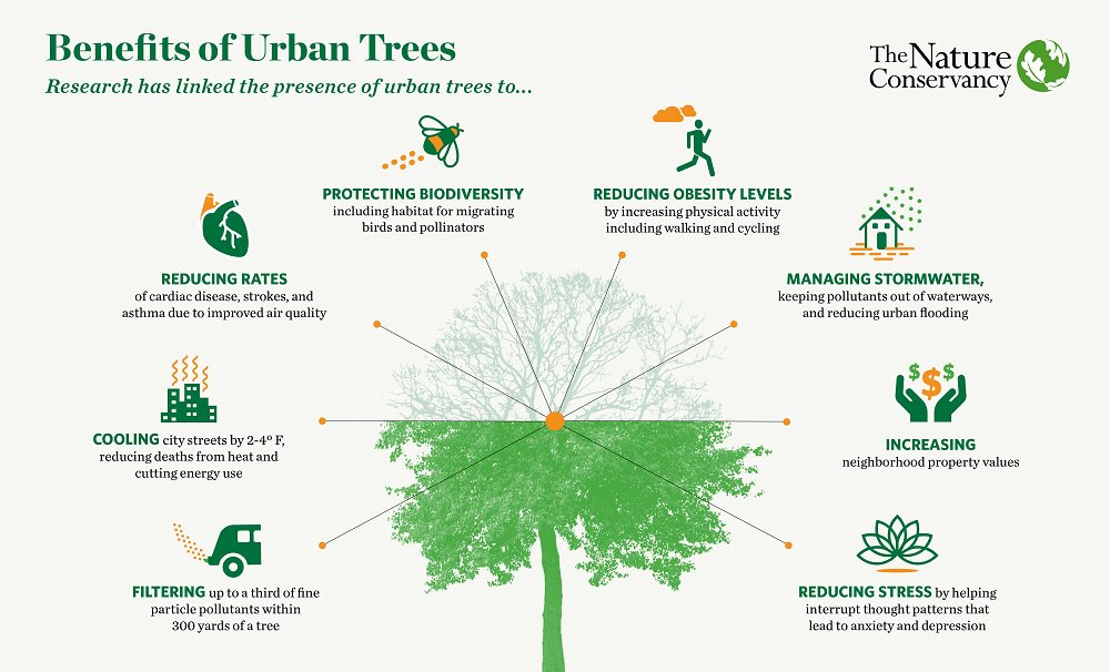 WRIRossCities's tweet photo. #City trees can help save lives and millions in health expenditures, says new @nature_org report https://t.co/WQaFc1lUO9 https://t.co/nRXAMKGkmQ