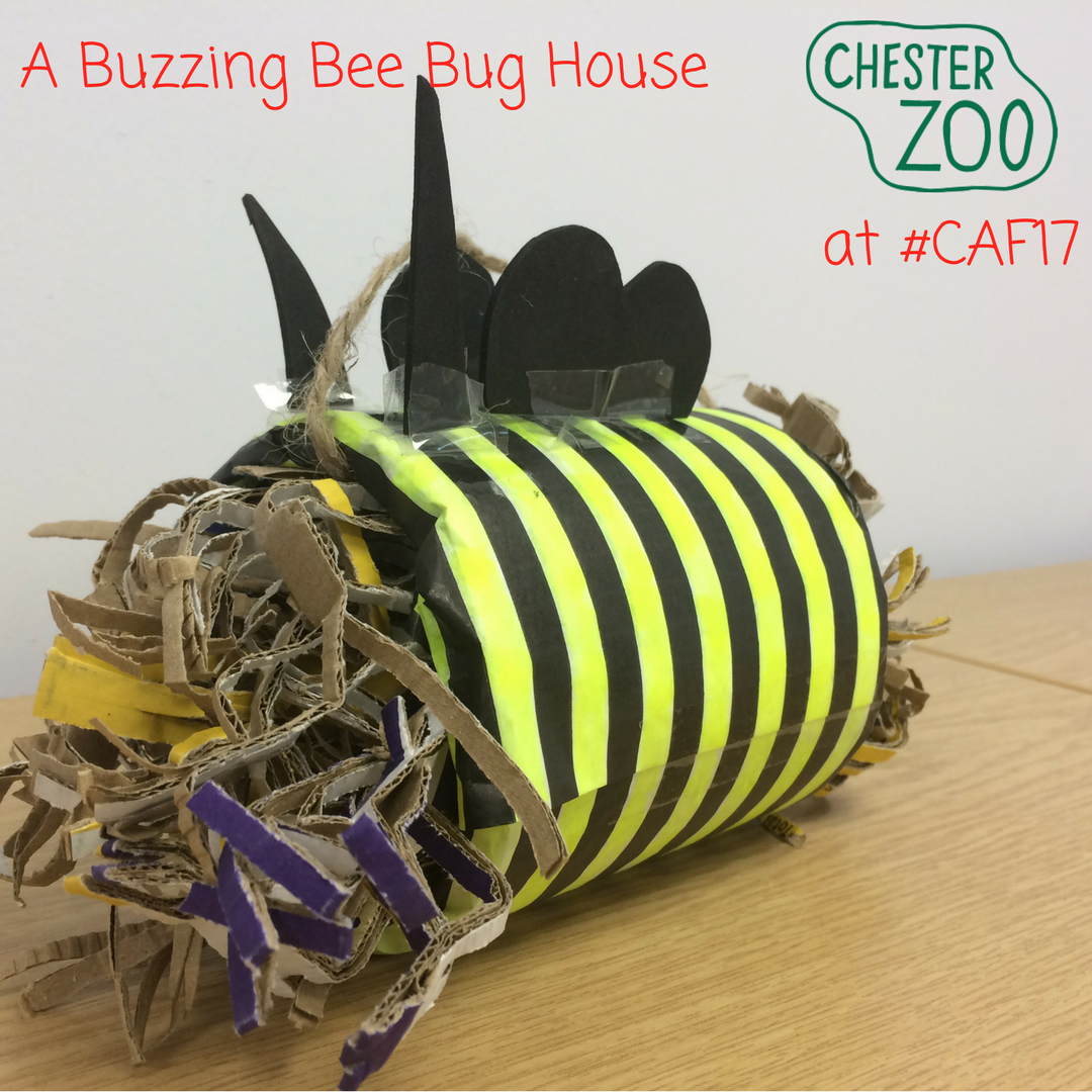 chesterartsfair's tweet photo. Confirmed activities for the @chesterzoo Children's Corner include:
🐝 Build your Buzzing Bee House
🐛 Design a #Wildlife Garden
.. and more! https://t.co/wQ6ngkOf8S