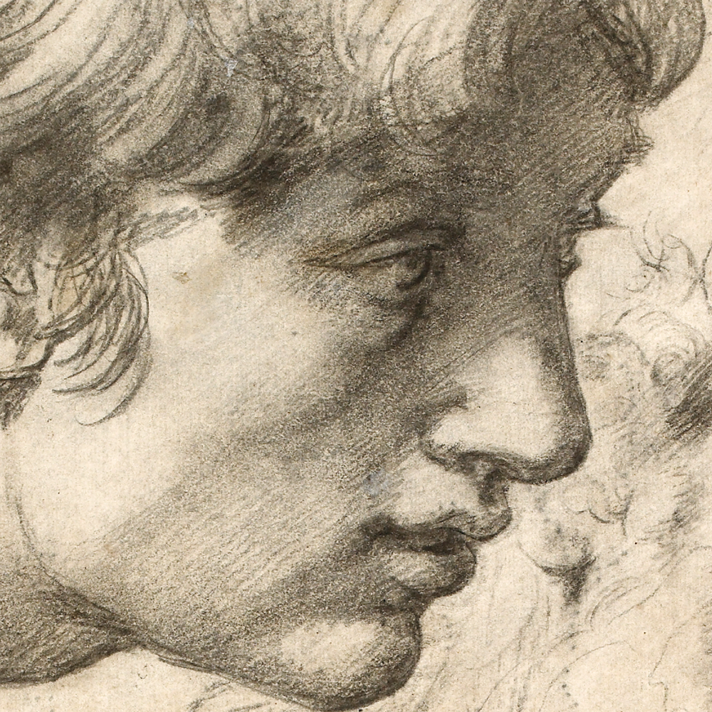 AshmoleanMuseum's tweet photo. We're delighted to say that our summer exhibition #RaphaelDrawings has just been nominated for a 2017 @FineArtAwards! https://t.co/wcuQpcbKq0