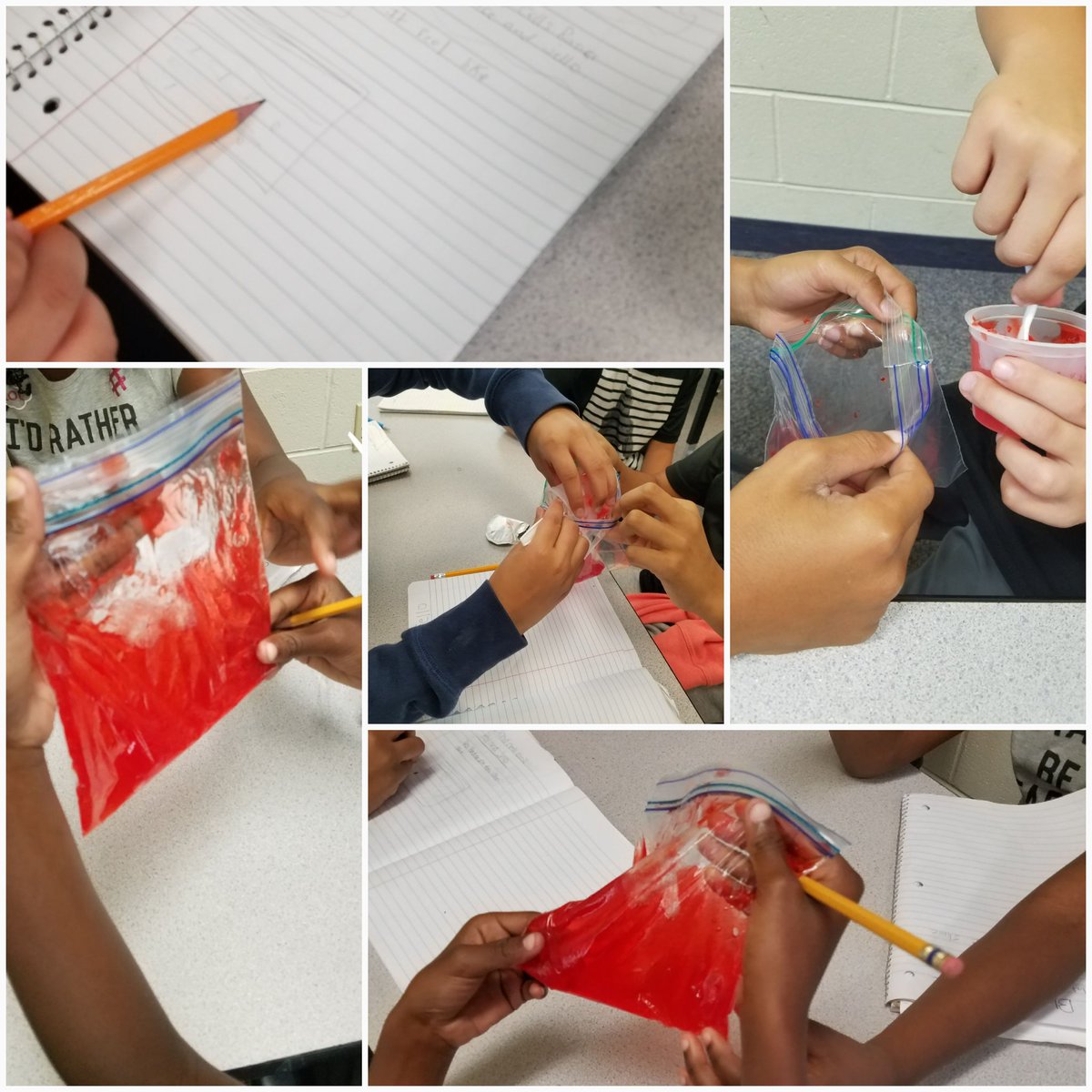 LittleLeaders4's tweet image. Model of red and white blood cells #sciencemodels #handsonscience