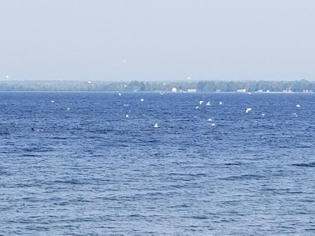 Lots of questions, ideas on Vermont water cleanup -  bit.ly/2yqvCqR