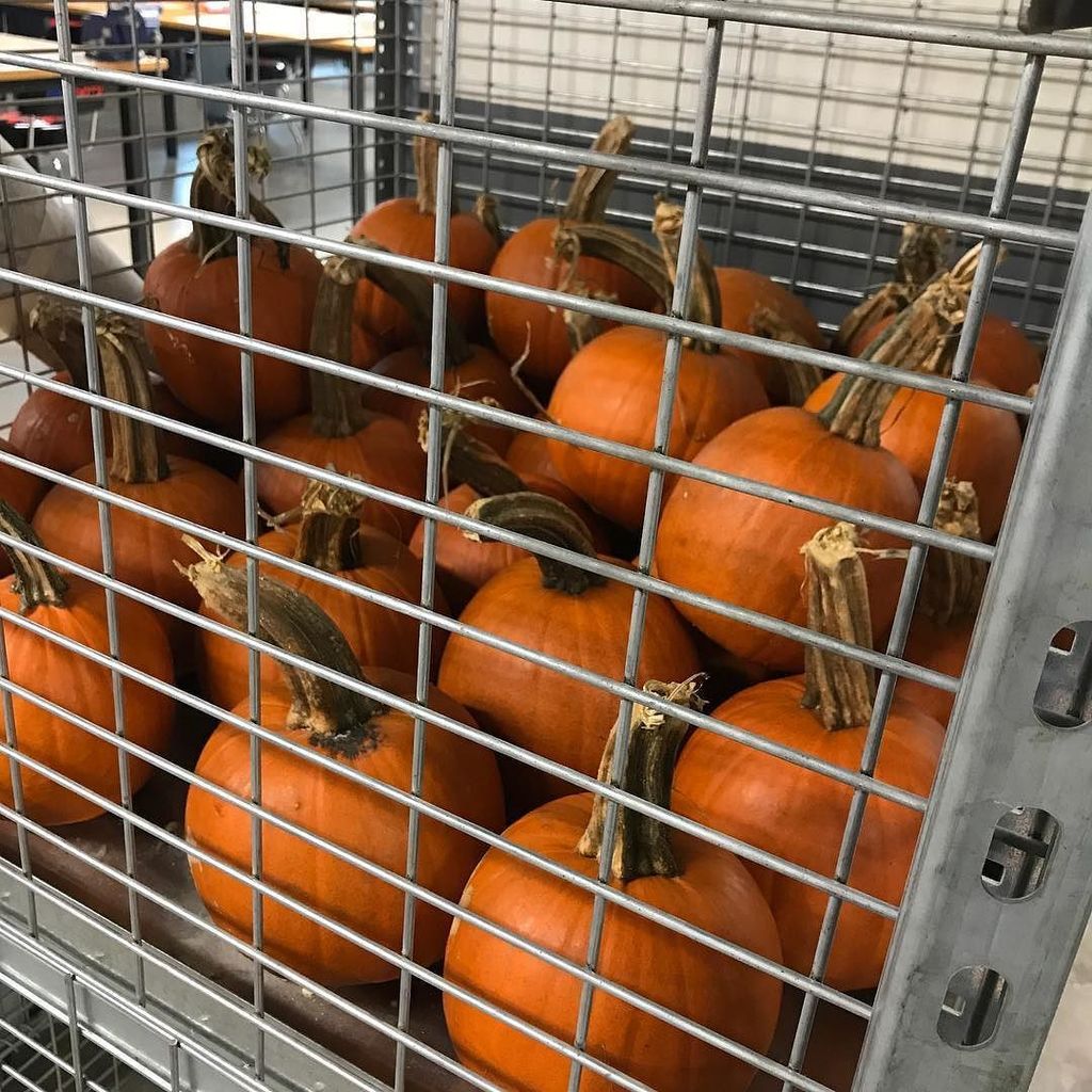 Sign up for our Laser Etch Pumpkin class! They are getting sad in pumpkin jail. ift.tt/2zeNNxD