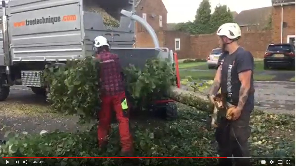 MyTimberwolf's tweet photo. #TW280TFTRreview
Check out this amazing TW 280TFTR review video by @treetechnique - Tree Surgeons - https://t.co/qaJxDXlNtk https://t.co/JsMgxfWJTm