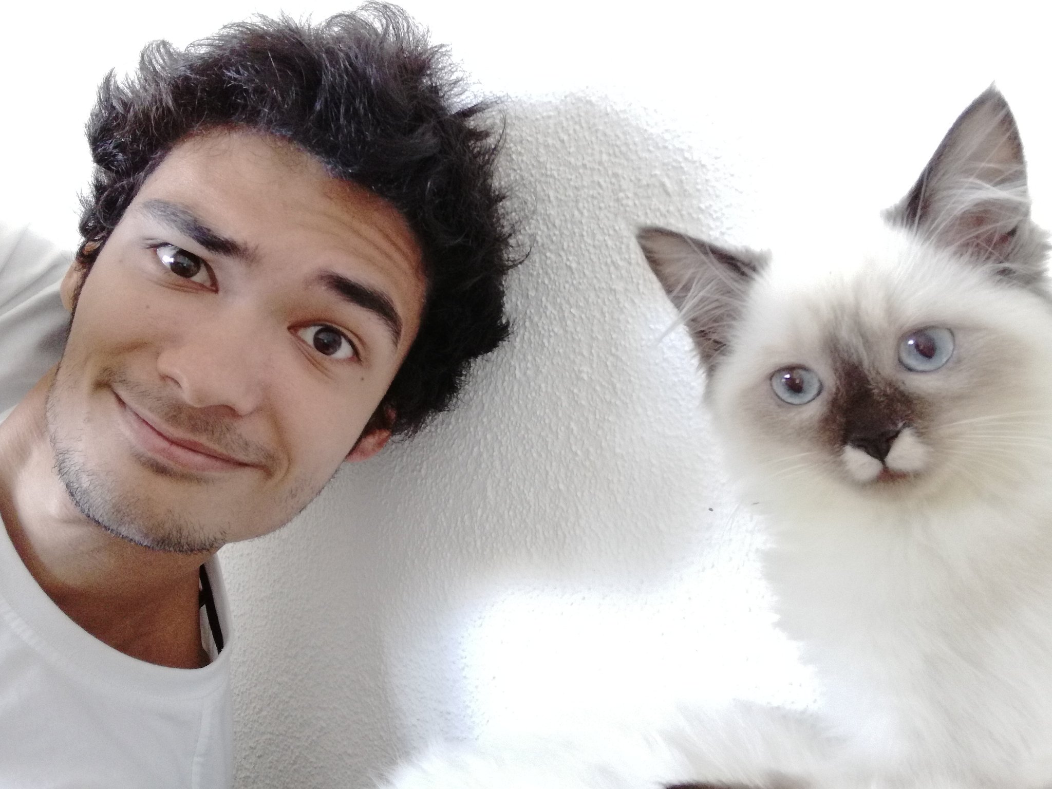 Stormxf3 Meet My New Friend Willow Ragdoll Breed