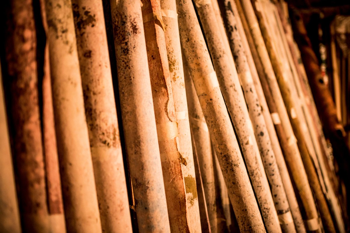 Artery Backdrops tweet media