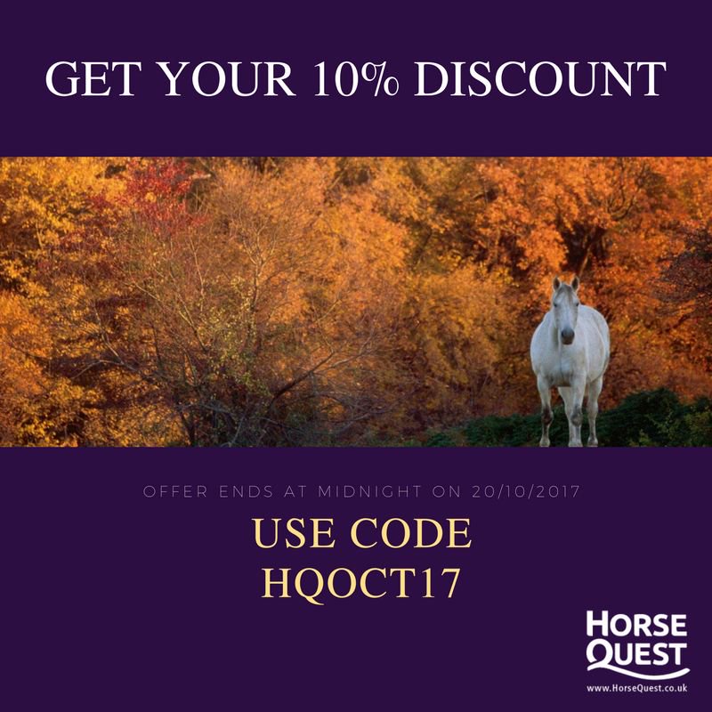 Horsequest.co.uk tweet media