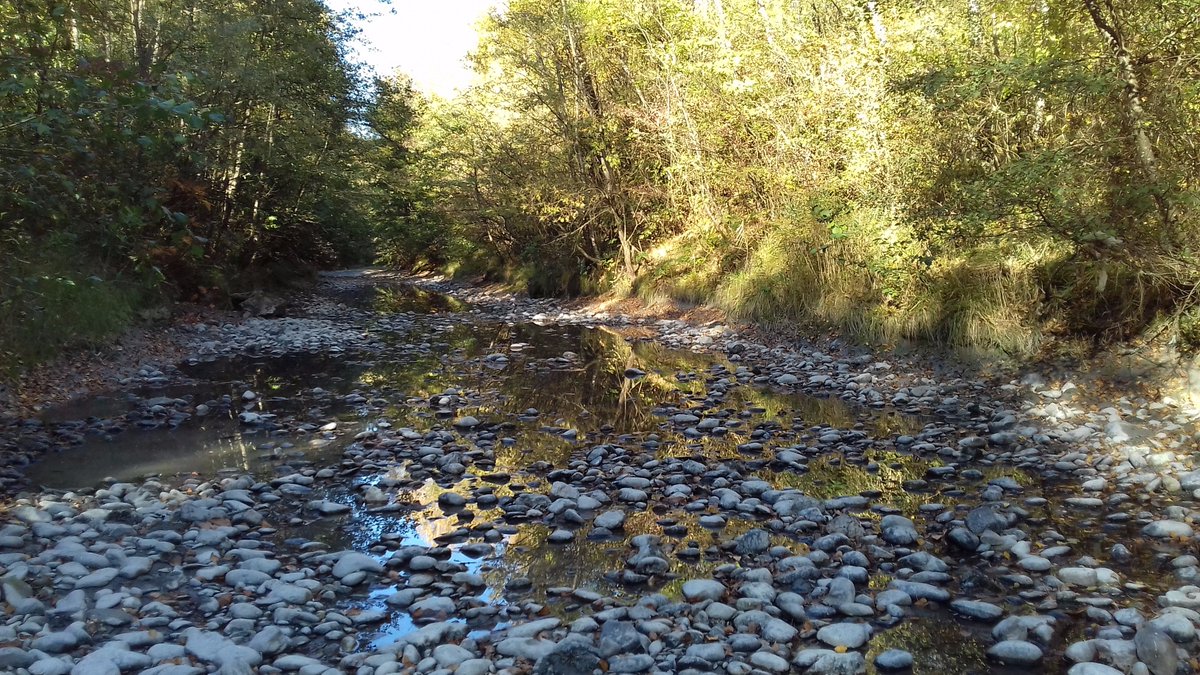 nanowellbeing's tweet photo. Went to take a selfie with the River Arve but couldn't find it! Where's the water gone?
#RallyforRivers #StandwithRivers #water #riverside https://t.co/futp2qXhxv