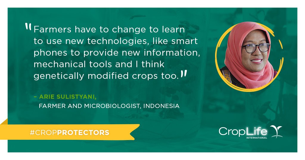 CropLifeIntl's tweet photo. #CropProtector Arie Sulistyani encourages farmers to adopt new agriculture technology, like #biotech crops. https://t.co/aWqWKZhbD5 #IPM https://t.co/BXfGuL7LPR