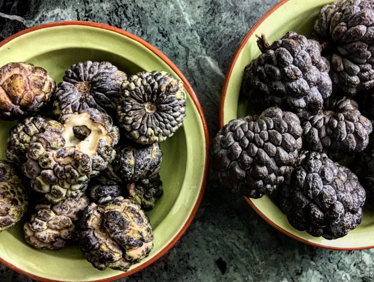 kashishds's tweet image. #Sarifa Anxiety:
R: Test freeze (to eat off season) fail.
L: Got few fresh ones; vendor says maybe last lot of season.
(Been having ~6/day)