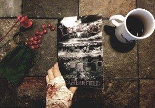 noahbarfield21's tweet photo. New media stuff for Legend Land! A picture says 1000 words, but this photo says only one thing, "Awesome". That's just my UNBIASED opinion though. #writerslife #writing #writers #fantasy #darkfantasy #legendland https://t.co/gwf9x1ocuj
