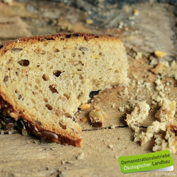 Biohoefe's tweet photo. Heute ist #WorldBreadDay2017: Passend dazu breitet sich bereits d. Duft von frischem Brot auf @GutWulksfelde aus! https://t.co/JFj904dZ7w 🍞 https://t.co/gXDUKNBOTs