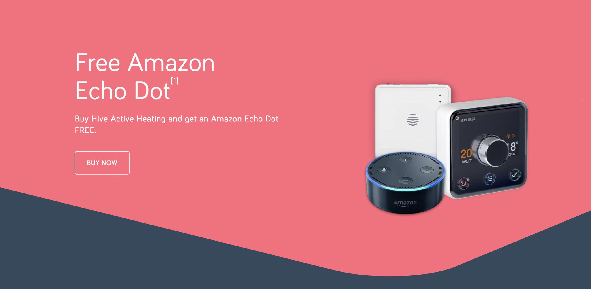 does echo dot work with hive