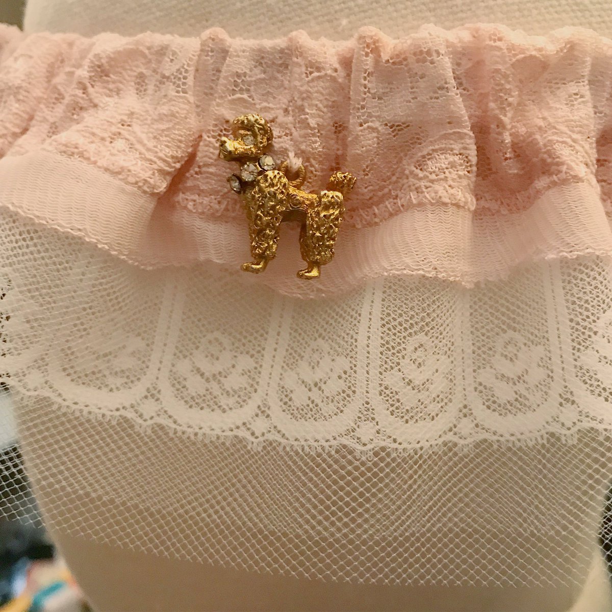 christinascards's tweet photo. Poodle charmed garter✨
#IMadeIt #poodles https://t.co/g8ZO12LHfs