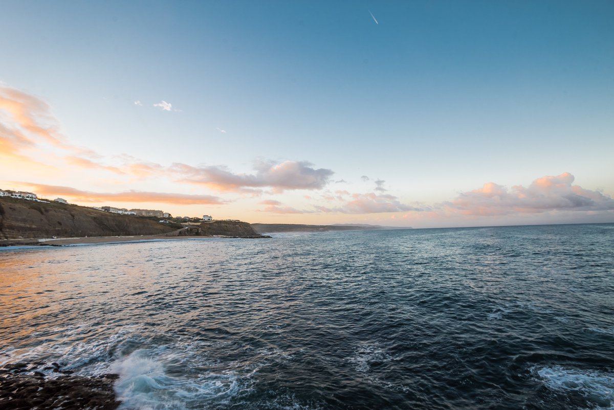 Surfholidays.com tweet media