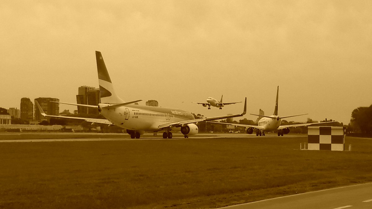 Poyo Rossi ✈ tweet media