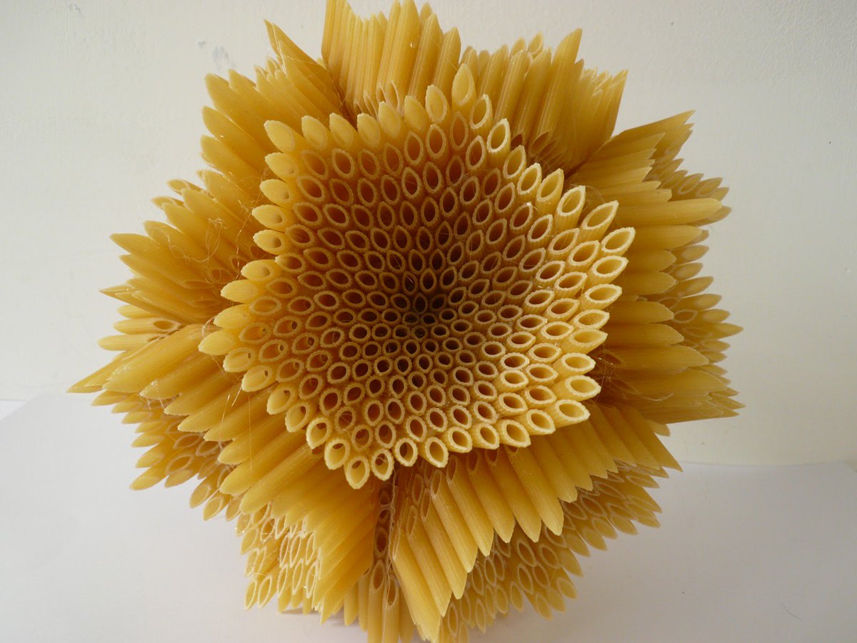 artthescience's tweet photo. Wow! @SineadFoley_ reimagines #bacteria using #pasta! Perfect for #NationalPastaDay! #SciArt #Sculpture #Microbiology #Penne https://t.co/30XxMXyKPB