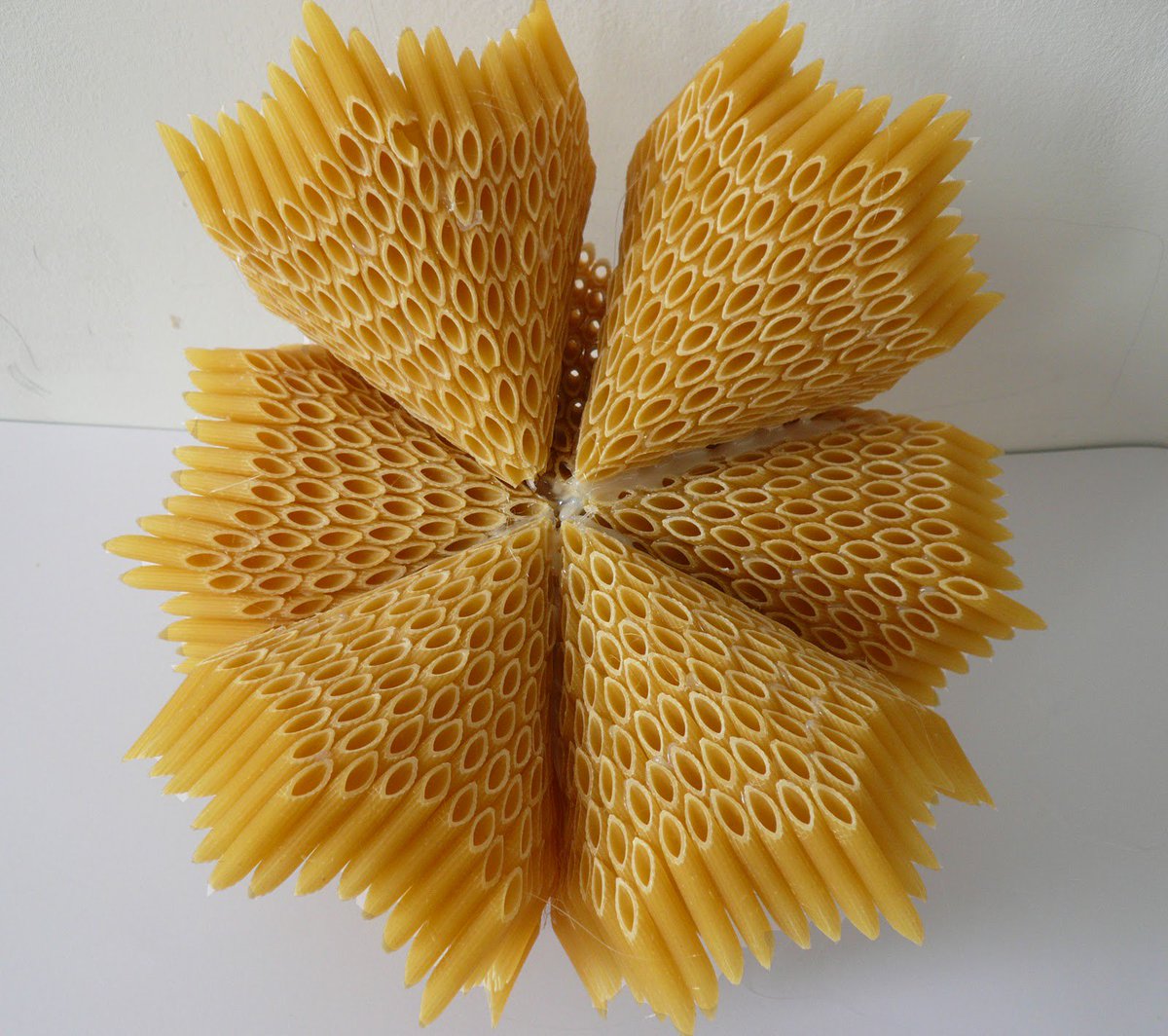 Wow! <a href="/SineadFoley_/">Sinéad Foley</a> reimagines #bacteria using #pasta! Perfect for #NationalPastaDay! #SciArt #Sculpture #Microbiology #Penne