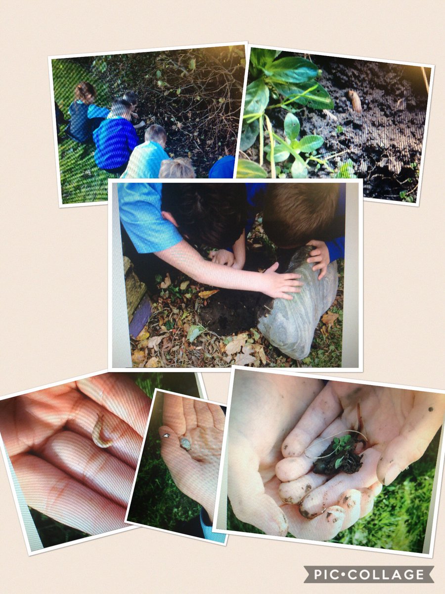 GMStJohns's tweet photo. Hunting for Bugs 🐛 #wow #learning #experience #GMSJ https://t.co/fA6gTrWPOH