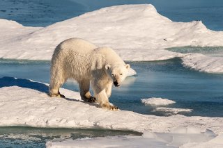 Eurisy1's tweet photo. Shrinking #icecoverage bring new challenges! The #Arctic needs your #innovation! @ESAbusinessapps #funding is open! https://t.co/Fdyxo7xzqc https://t.co/Xv7AS5tseD