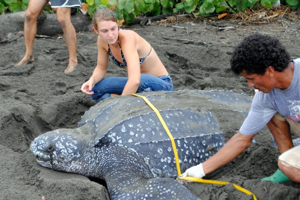 ecologyproject's tweet photo. The John Denham Award recognizes leaders in community-based conservation and science. Applications close Nov 30! https://t.co/px9M2e9lyl https://t.co/3qYjs0vfBS