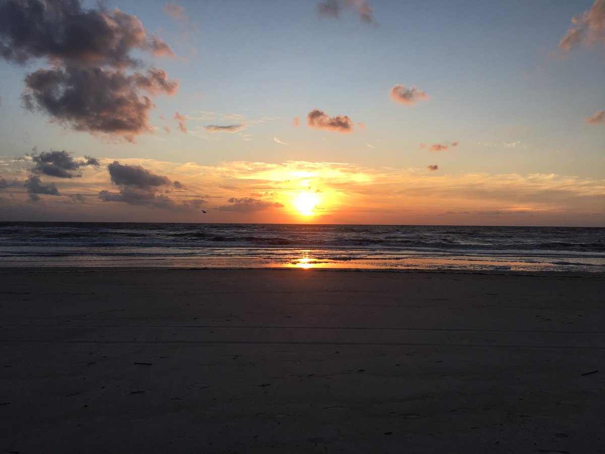 i_transact's tweet photo. It's been a hectic few weeks! Throwback to our company trip to Florida this past September 🌴🌊 
#US #teambonding #houstonagency https://t.co/PxD0DveSJp