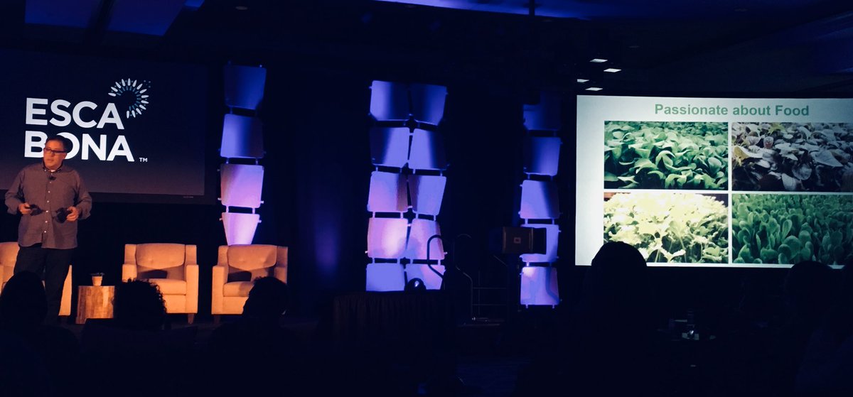 allisonbeadle's tweet photo. Aeroponics and hydroponics to optimize quality, safety, nutrition, and sustainability in leafy greens.#EscaBona @LocalRootsFarm @AeroFarms https://t.co/Y4NgYJTM44