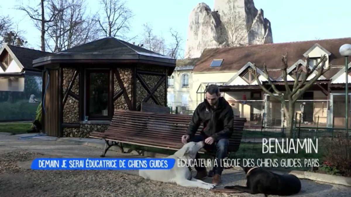 prevel_c's tweet photo. #chiensguides #familledaccueil Fière de retrouver ma july dans ce documentaire https://t.co/ZGGVpOBvEu https://t.co/X7KCpmf1hn