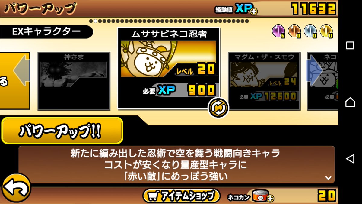 ムササビネコ忍者