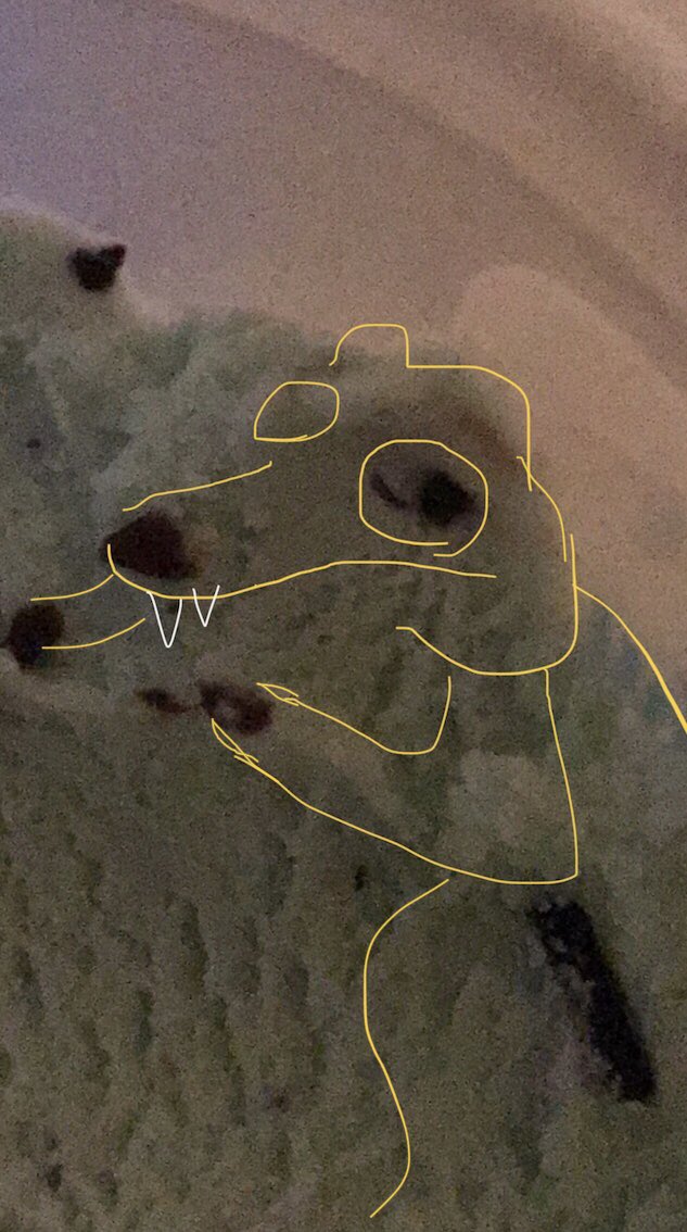 britttanybetch's tweet photo. U know ur hella high when a chocolate chip pattern in ur ice cream immediately makes u think of the ice age squirrel https://t.co/Xvs691jYR9